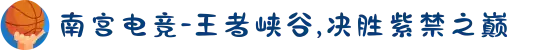 南宫电竞-王者峡谷,决胜紫禁之巅